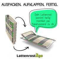 Lattenrost FlexSTAR Reihe 100 x 200 cm