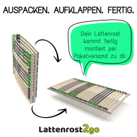 Lattenrost 100x210 starr FixSTAR